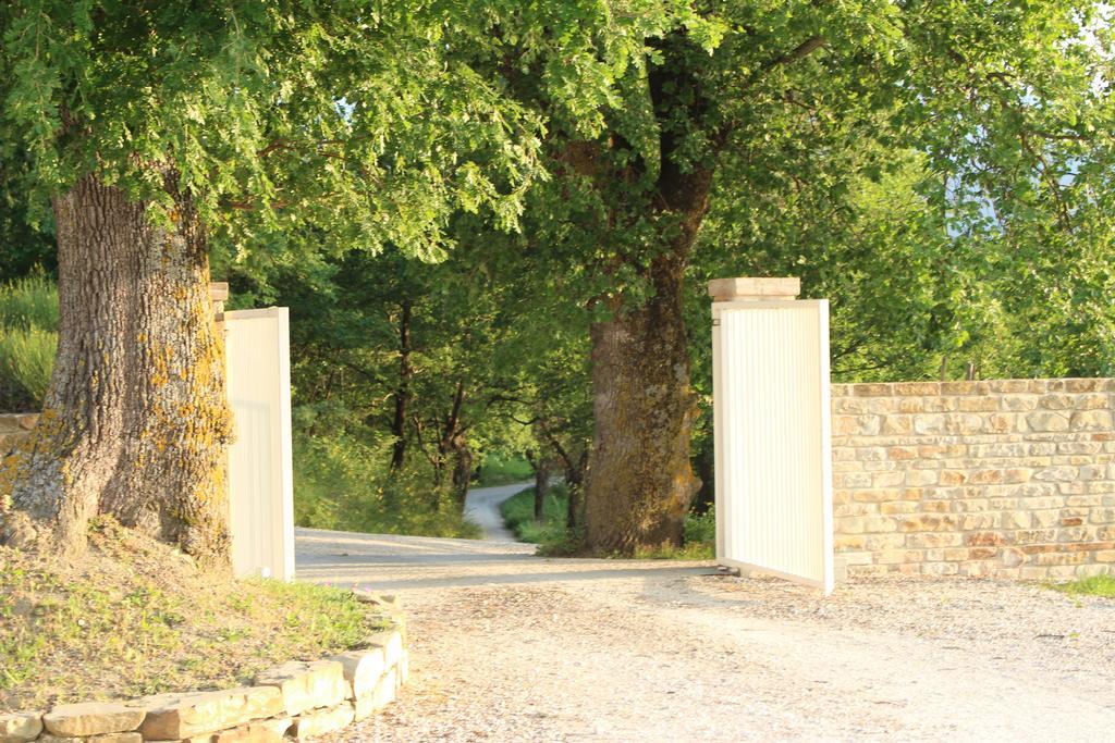 Amico Country House Serra San Quirico Екстериор снимка