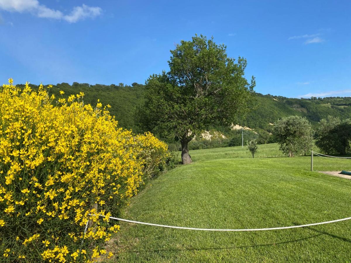 Amico Country House Serra San Quirico Екстериор снимка