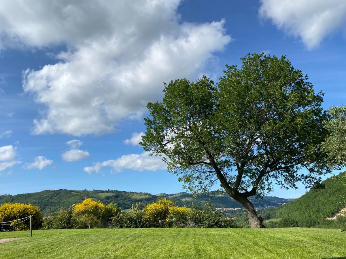 Amico Country House Serra San Quirico Екстериор снимка